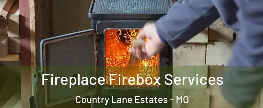 Fireplace Firebox Services Country Lane Estates - MO