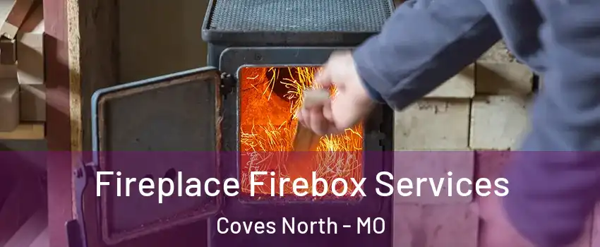 Fireplace Firebox Services Coves North - MO