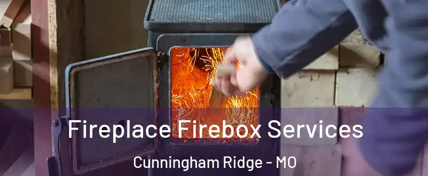 Fireplace Firebox Services Cunningham Ridge - MO