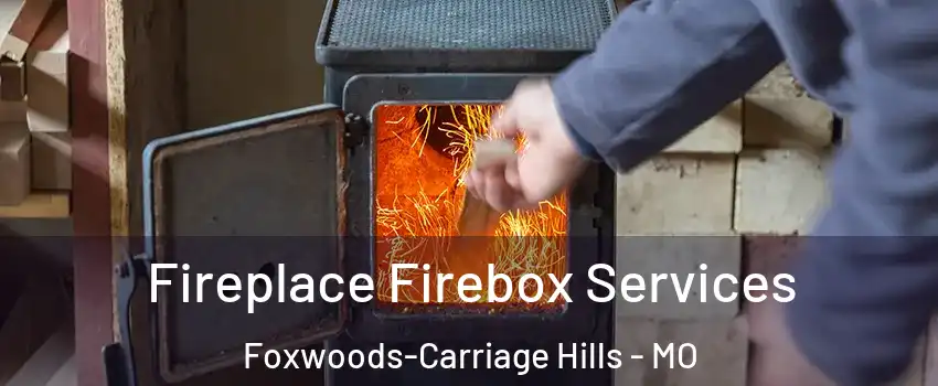 Fireplace Firebox Services Foxwoods-Carriage Hills - MO