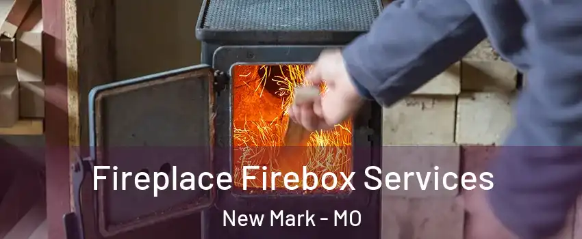 Fireplace Firebox Services New Mark - MO