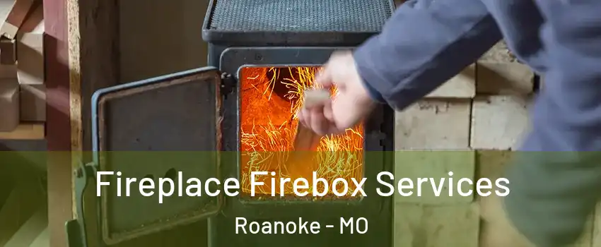 Fireplace Firebox Services Roanoke - MO