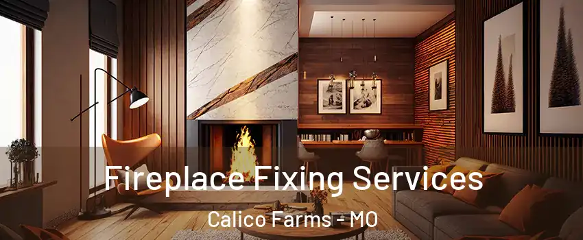Fireplace Fixing Services Calico Farms - MO