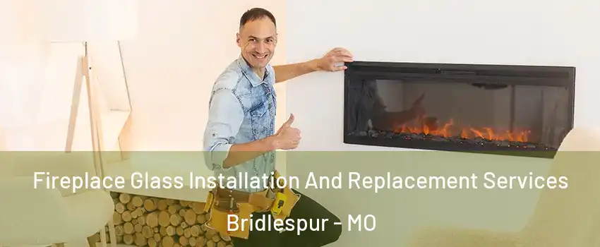 Fireplace Glass Installation And Replacement Services Bridlespur - MO
