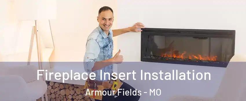 Fireplace Insert Installation Armour Fields - MO