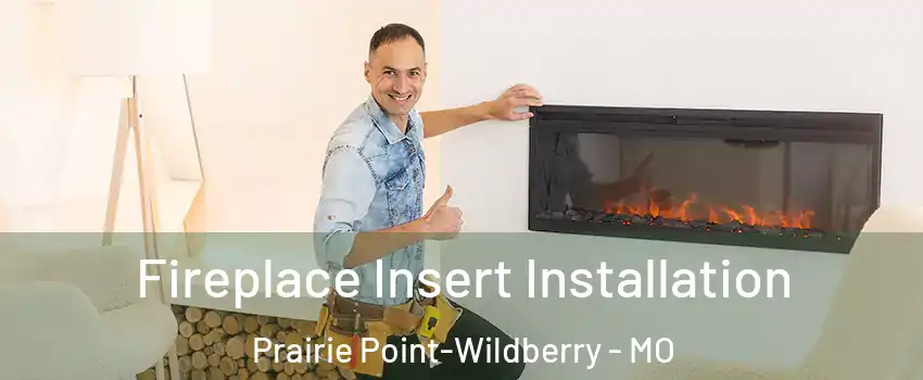 Fireplace Insert Installation Prairie Point-Wildberry - MO