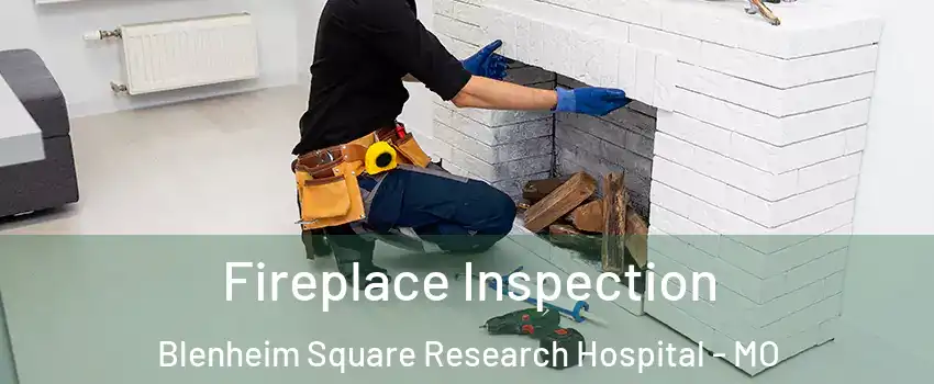 Fireplace Inspection Blenheim Square Research Hospital - MO