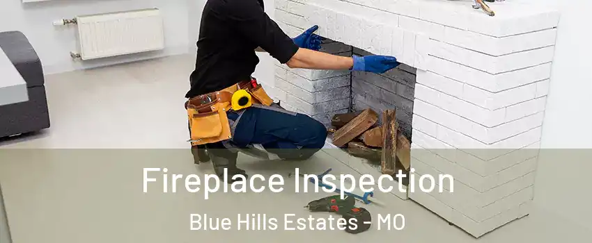 Fireplace Inspection Blue Hills Estates - MO