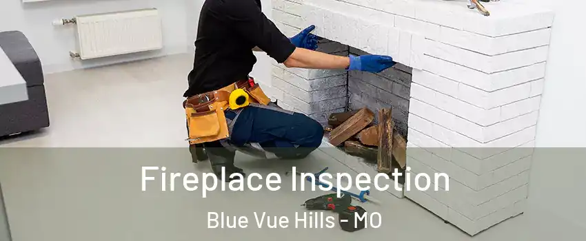 Fireplace Inspection Blue Vue Hills - MO
