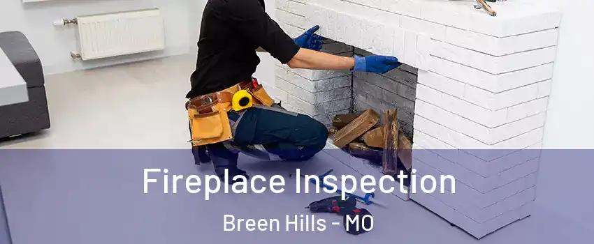 Fireplace Inspection Breen Hills - MO