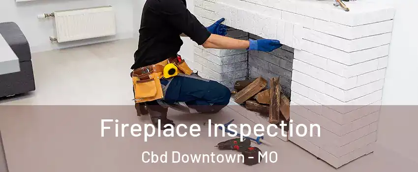 Fireplace Inspection Cbd Downtown - MO
