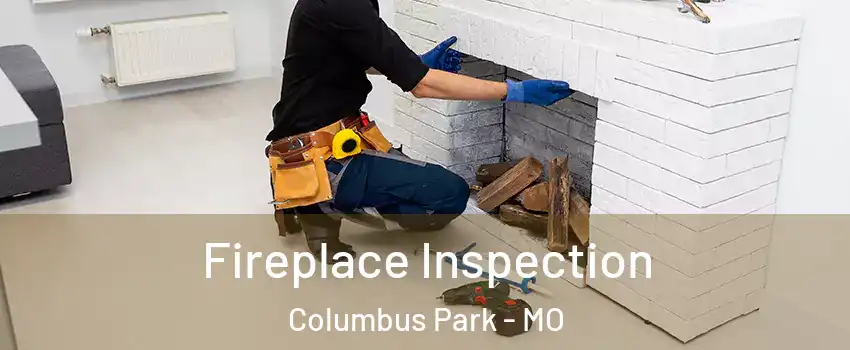 Fireplace Inspection Columbus Park - MO