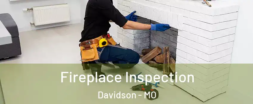 Fireplace Inspection Davidson - MO