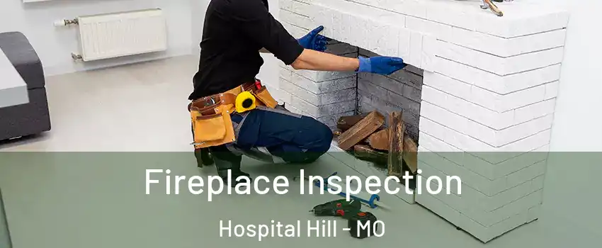Fireplace Inspection Hospital Hill - MO