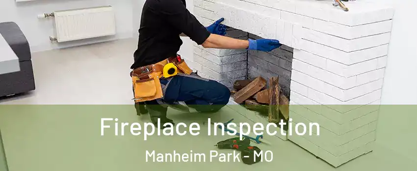 Fireplace Inspection Manheim Park - MO