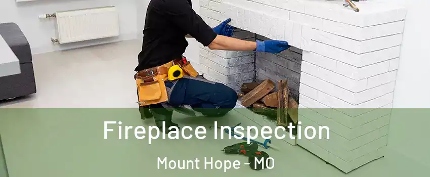Fireplace Inspection Mount Hope - MO