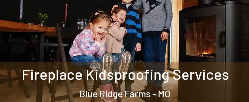 Fireplace Kidsproofing Services Blue Ridge Farms - MO