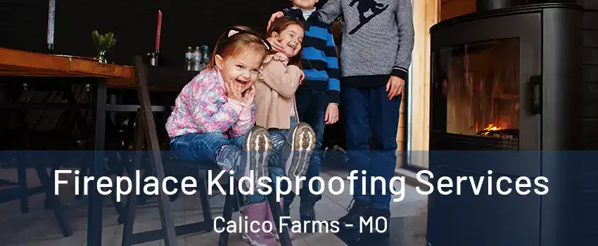 Fireplace Kidsproofing Services Calico Farms - MO