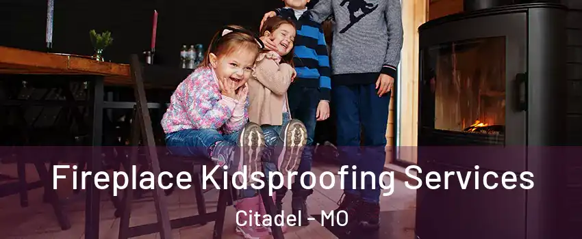 Fireplace Kidsproofing Services Citadel - MO
