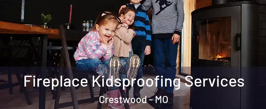 Fireplace Kidsproofing Services Crestwood - MO