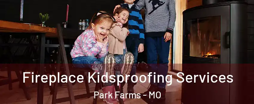 Fireplace Kidsproofing Services Park Farms - MO
