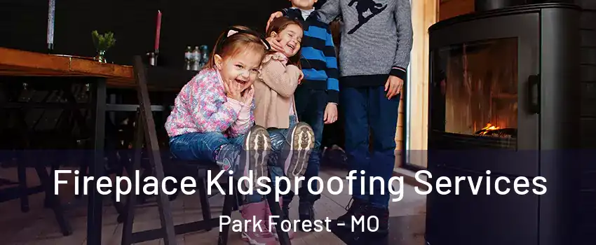 Fireplace Kidsproofing Services Park Forest - MO