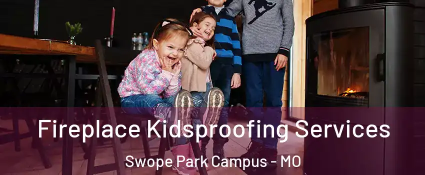 Fireplace Kidsproofing Services Swope Park Campus - MO