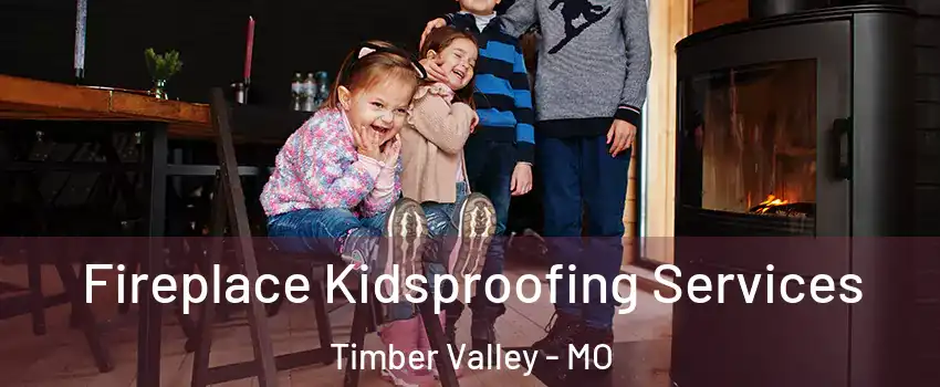 Fireplace Kidsproofing Services Timber Valley - MO