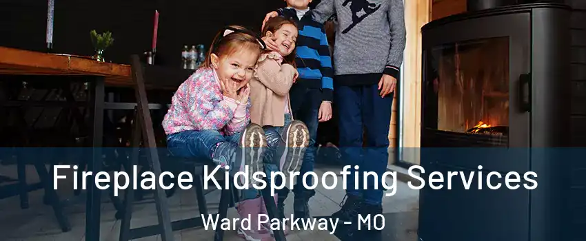 Fireplace Kidsproofing Services Ward Parkway - MO