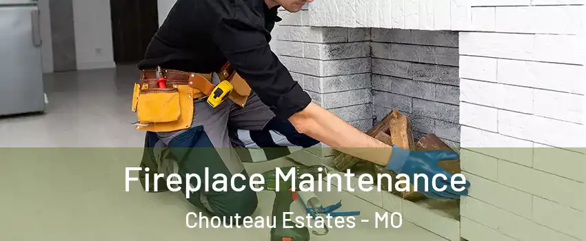 Fireplace Maintenance Chouteau Estates - MO