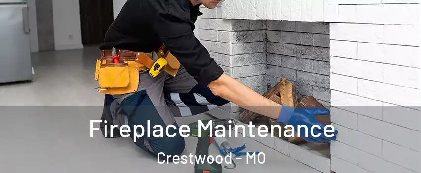 Fireplace Maintenance Crestwood - MO