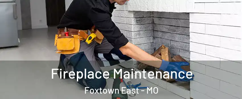 Fireplace Maintenance Foxtown East - MO