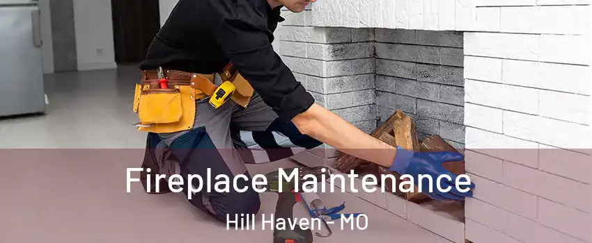 Fireplace Maintenance Hill Haven - MO