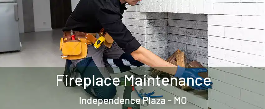 Fireplace Maintenance Independence Plaza - MO