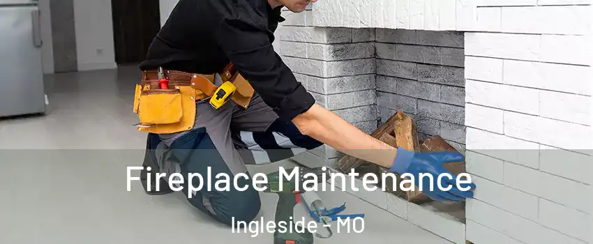 Fireplace Maintenance Ingleside - MO