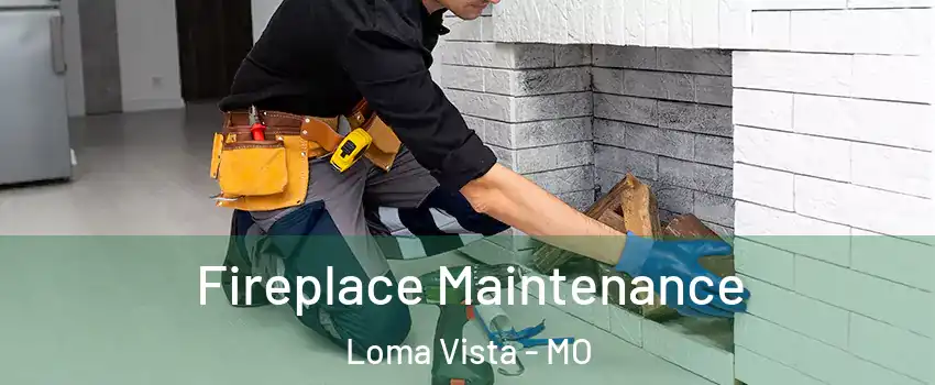 Fireplace Maintenance Loma Vista - MO