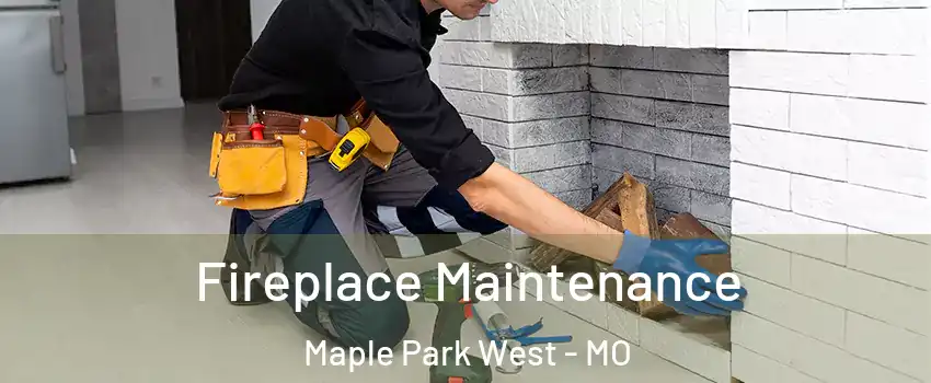 Fireplace Maintenance Maple Park West - MO