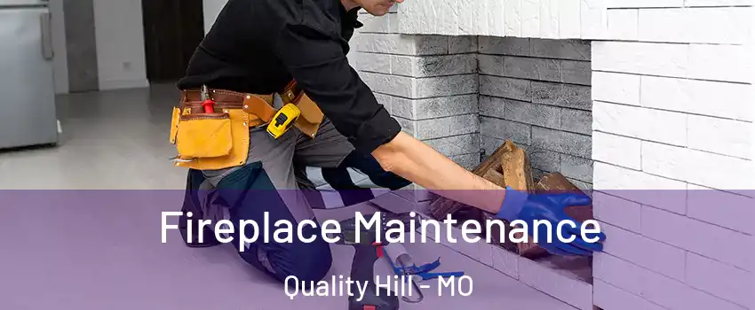 Fireplace Maintenance Quality Hill - MO