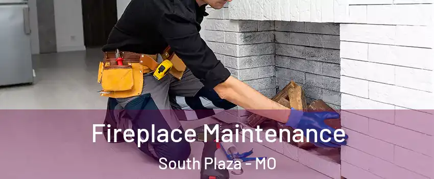 Fireplace Maintenance South Plaza - MO