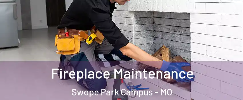 Fireplace Maintenance Swope Park Campus - MO