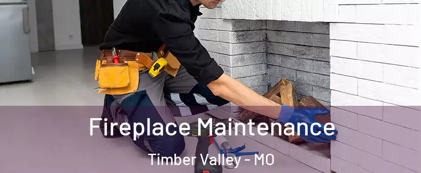 Fireplace Maintenance Timber Valley - MO