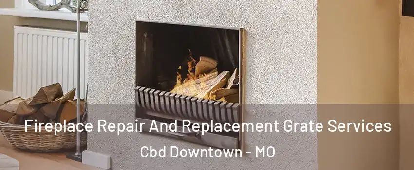 Fireplace Repair And Replacement Grate Services Cbd Downtown - MO