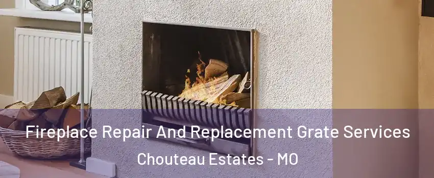 Fireplace Repair And Replacement Grate Services Chouteau Estates - MO