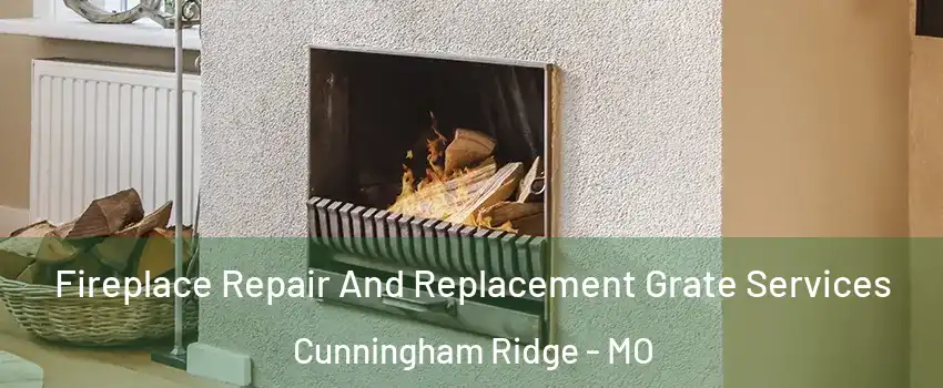 Fireplace Repair And Replacement Grate Services Cunningham Ridge - MO