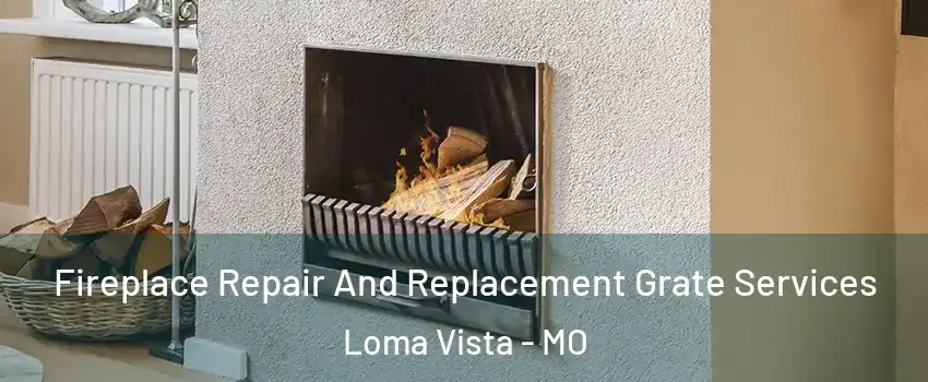 Fireplace Repair And Replacement Grate Services Loma Vista - MO