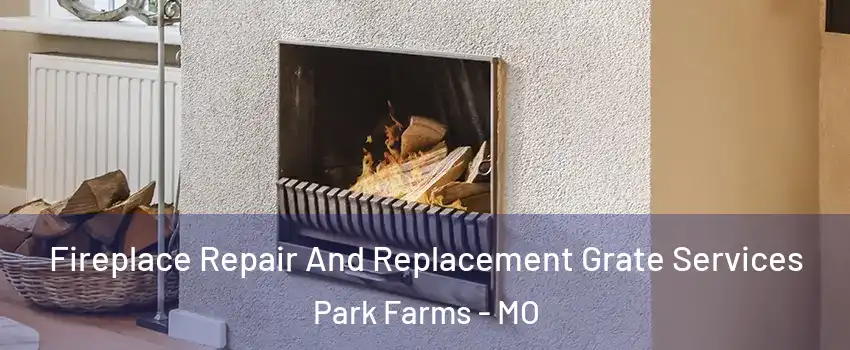 Fireplace Repair And Replacement Grate Services Park Farms - MO