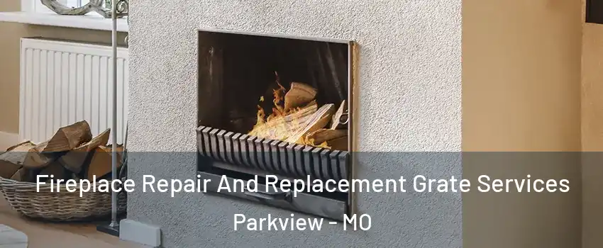 Fireplace Repair And Replacement Grate Services Parkview - MO