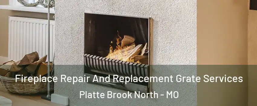 Fireplace Repair And Replacement Grate Services Platte Brook North - MO