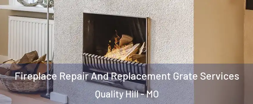Fireplace Repair And Replacement Grate Services Quality Hill - MO
