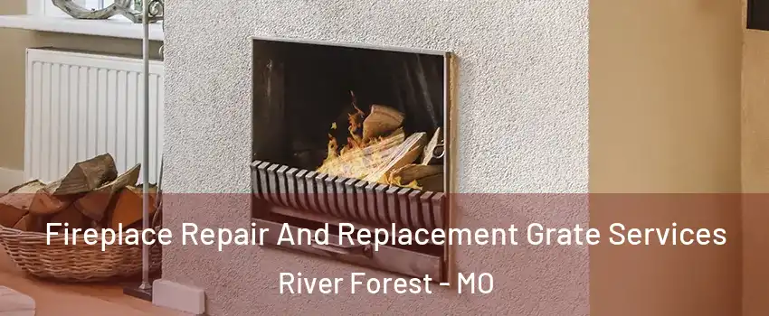 Fireplace Repair And Replacement Grate Services River Forest - MO